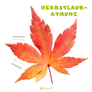 Herbstlaub Atmung